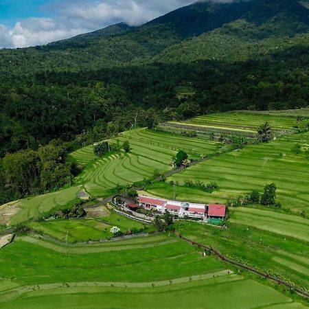 Santya Loka Lodge & Twin Waterfall Джатилувих Экстерьер фото