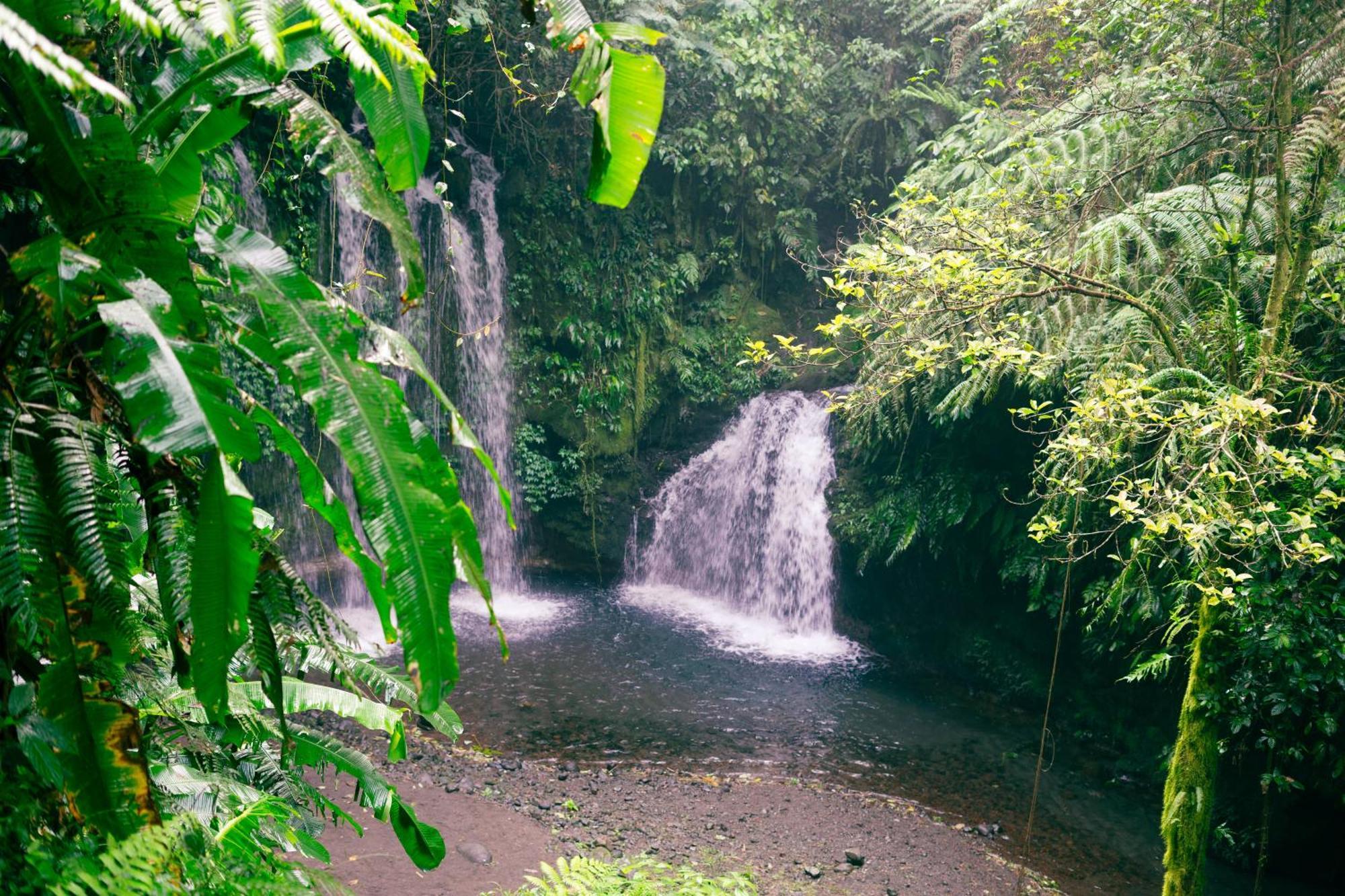 Santya Loka Lodge & Twin Waterfall Джатилувих Экстерьер фото