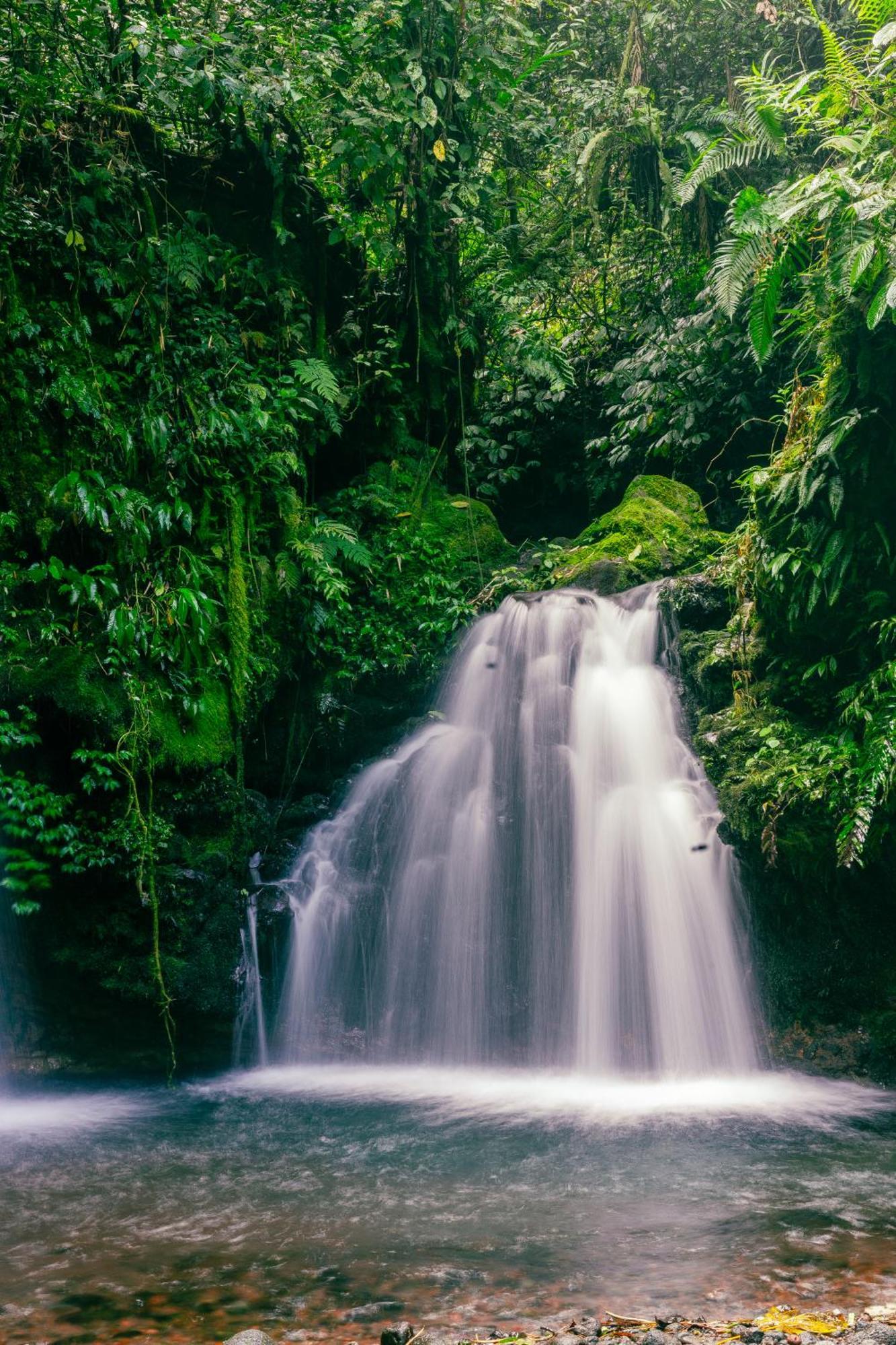 Santya Loka Lodge & Twin Waterfall Джатилувих Экстерьер фото