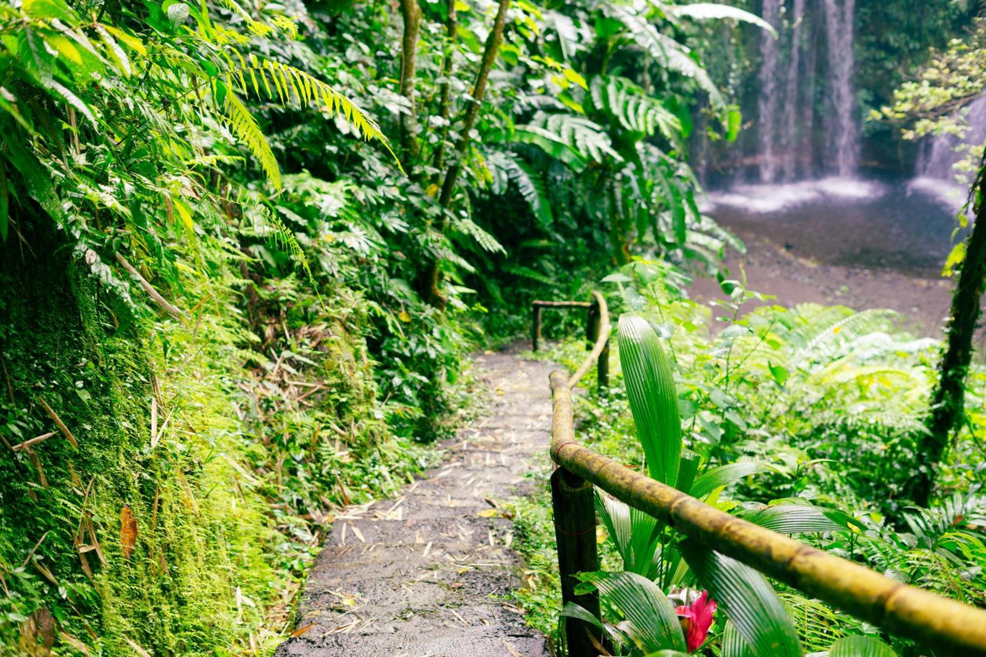 Santya Loka Lodge & Twin Waterfall Джатилувих Экстерьер фото