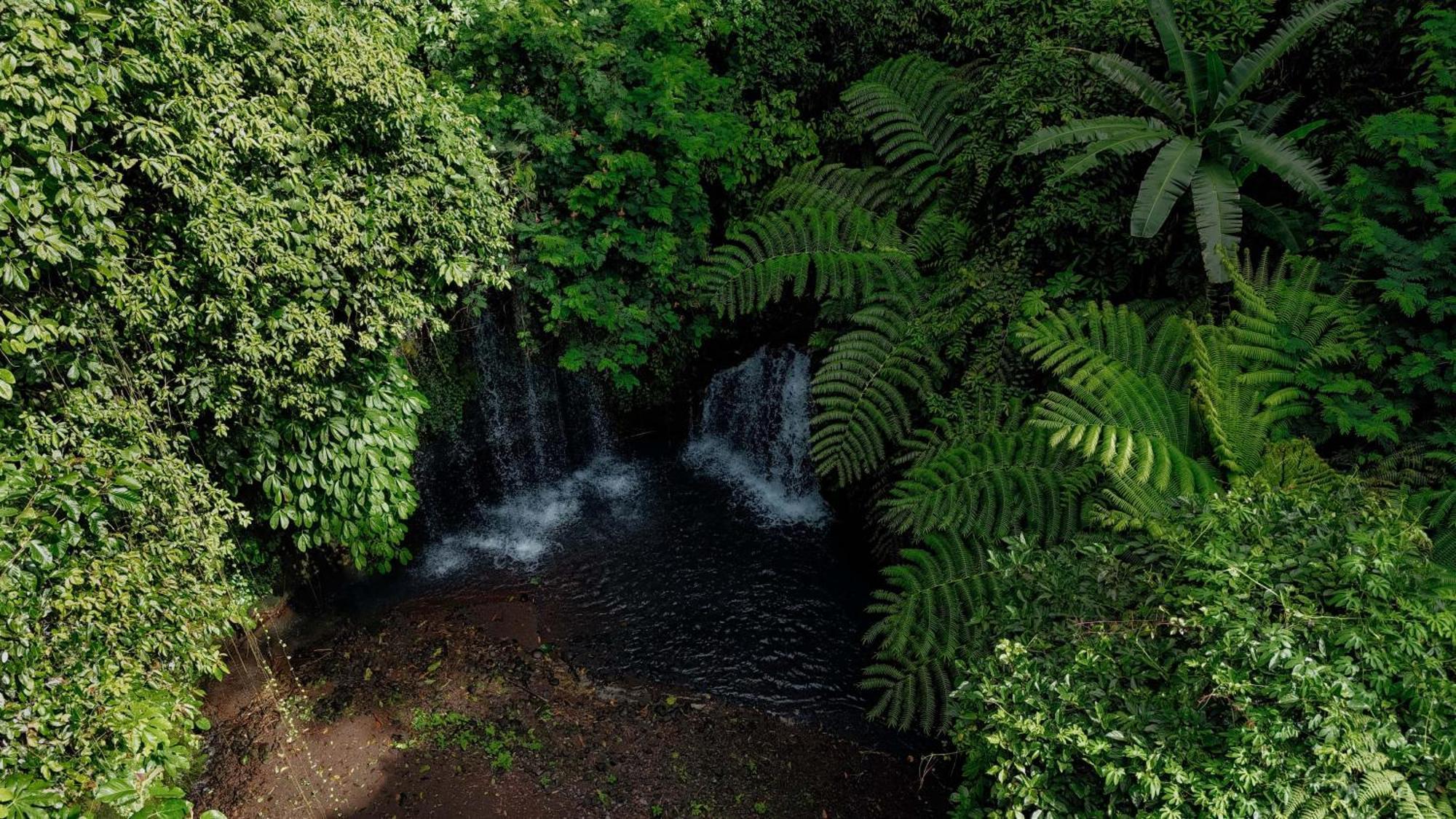 Santya Loka Lodge & Twin Waterfall Джатилувих Экстерьер фото