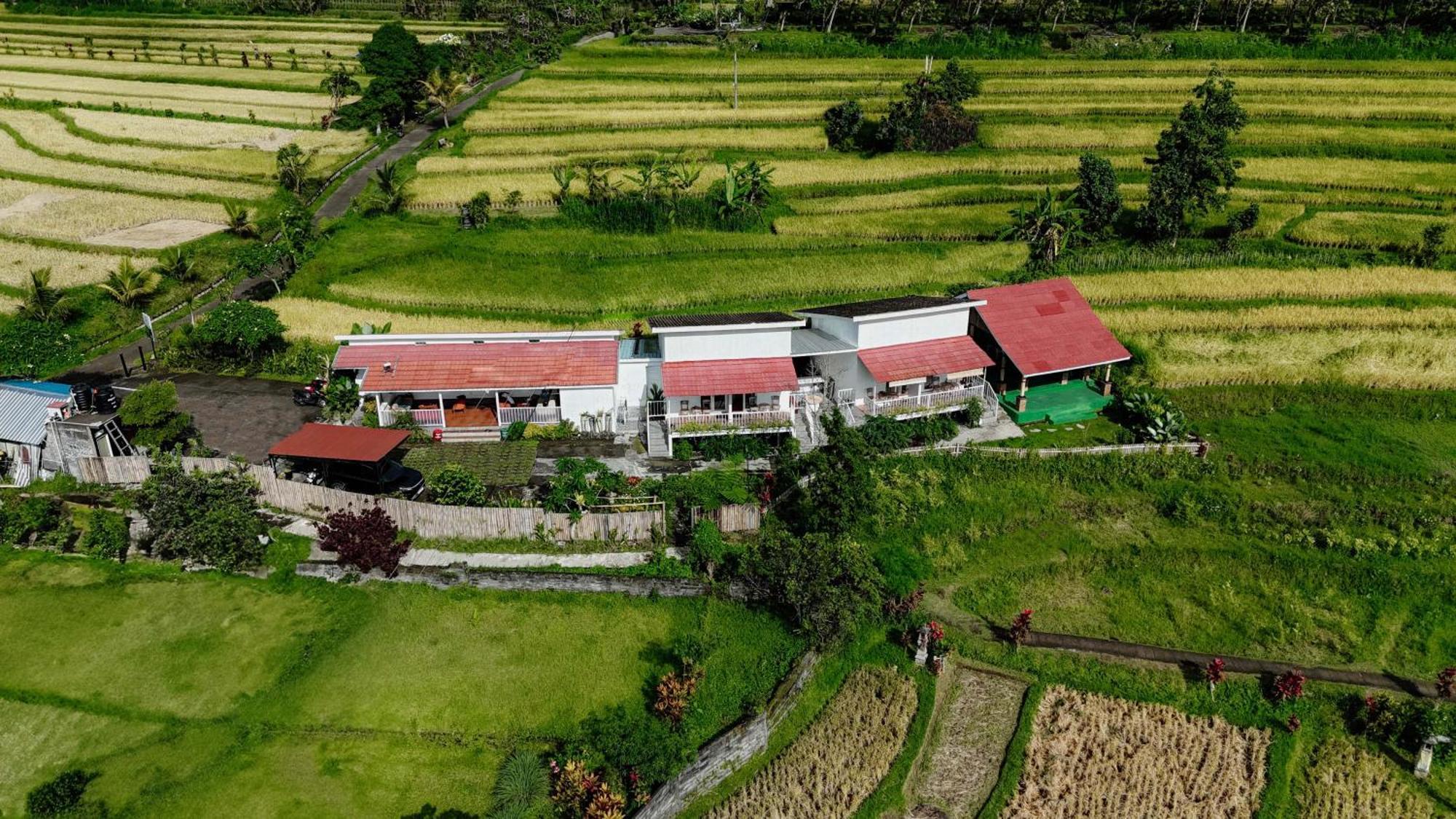 Santya Loka Lodge & Twin Waterfall Джатилувих Экстерьер фото