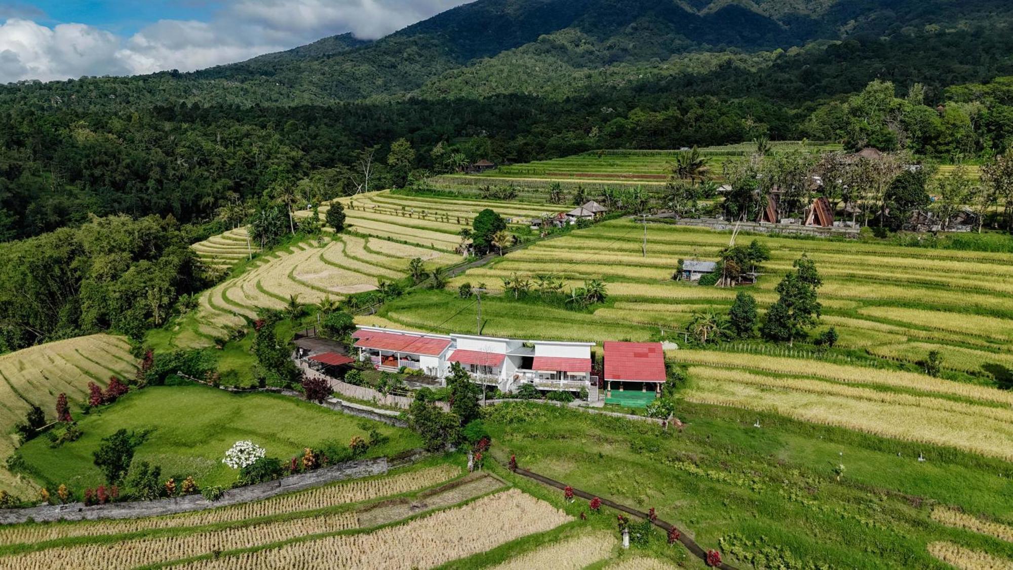 Santya Loka Lodge & Twin Waterfall Джатилувих Экстерьер фото