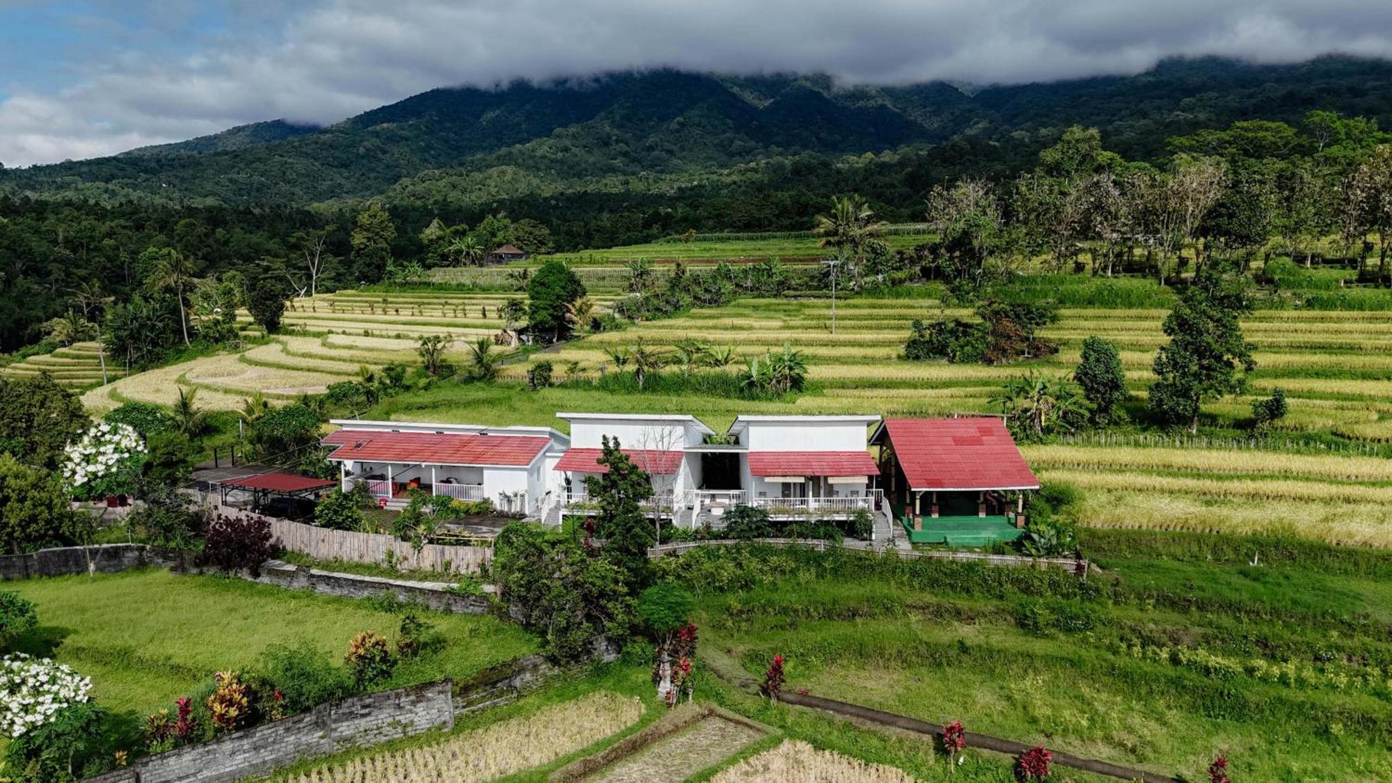 Santya Loka Lodge & Twin Waterfall Джатилувих Экстерьер фото