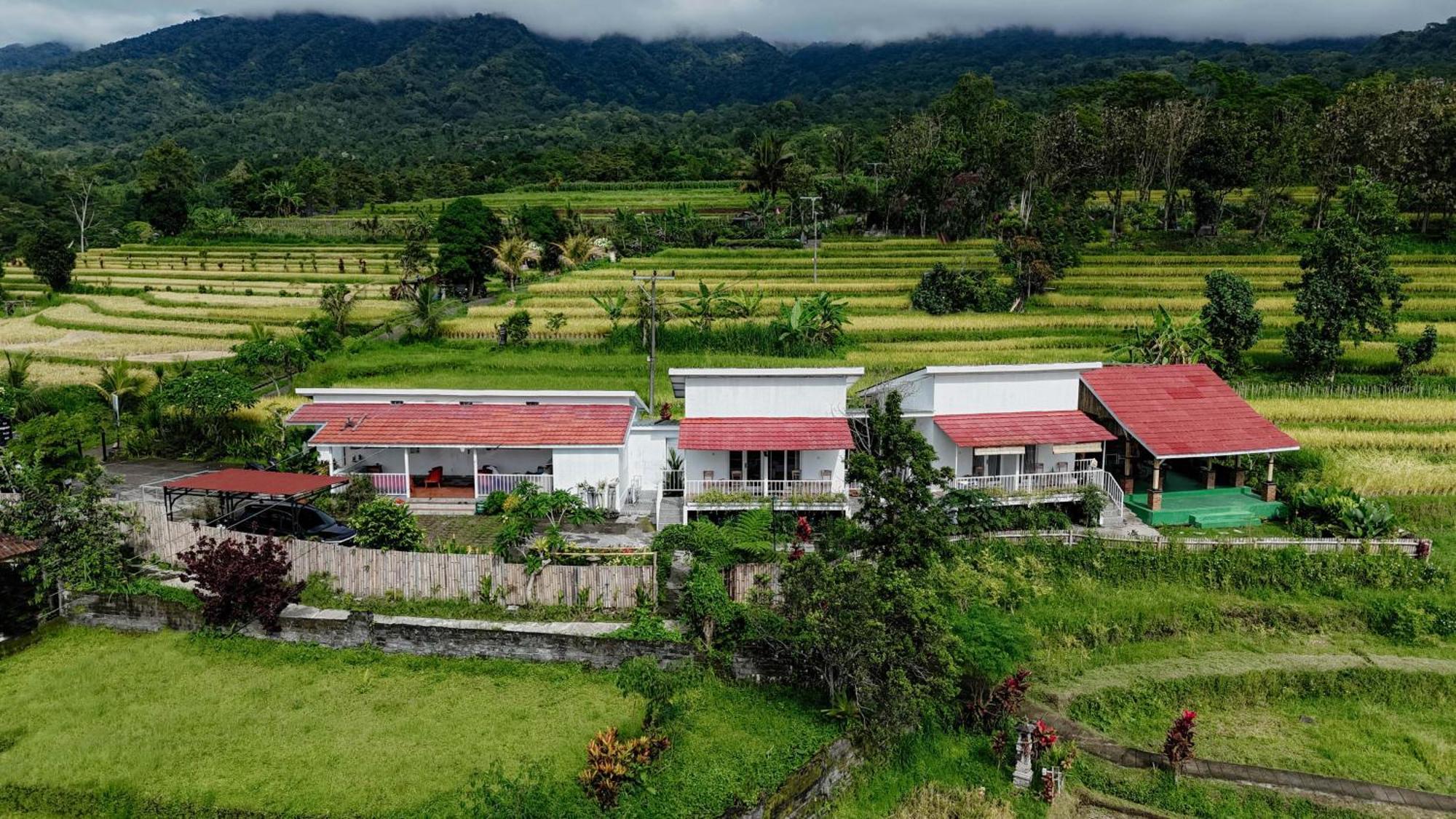 Santya Loka Lodge & Twin Waterfall Джатилувих Экстерьер фото